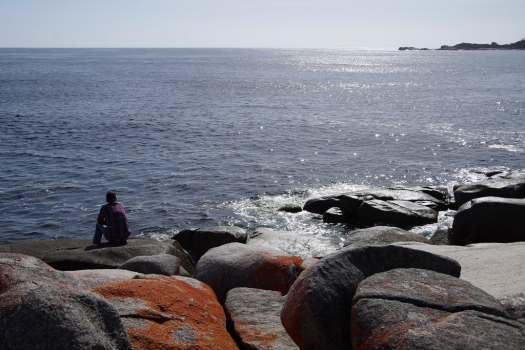 binalong_bay_dreamer.jpg